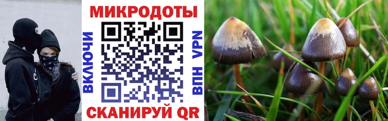 darknet телеграм  Сердобск  Галлюциногенные грибы MAGIC MUSHROOMS  наркошоп 
